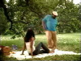 Budlight - Picknick