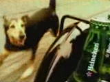 Heineken - My Life